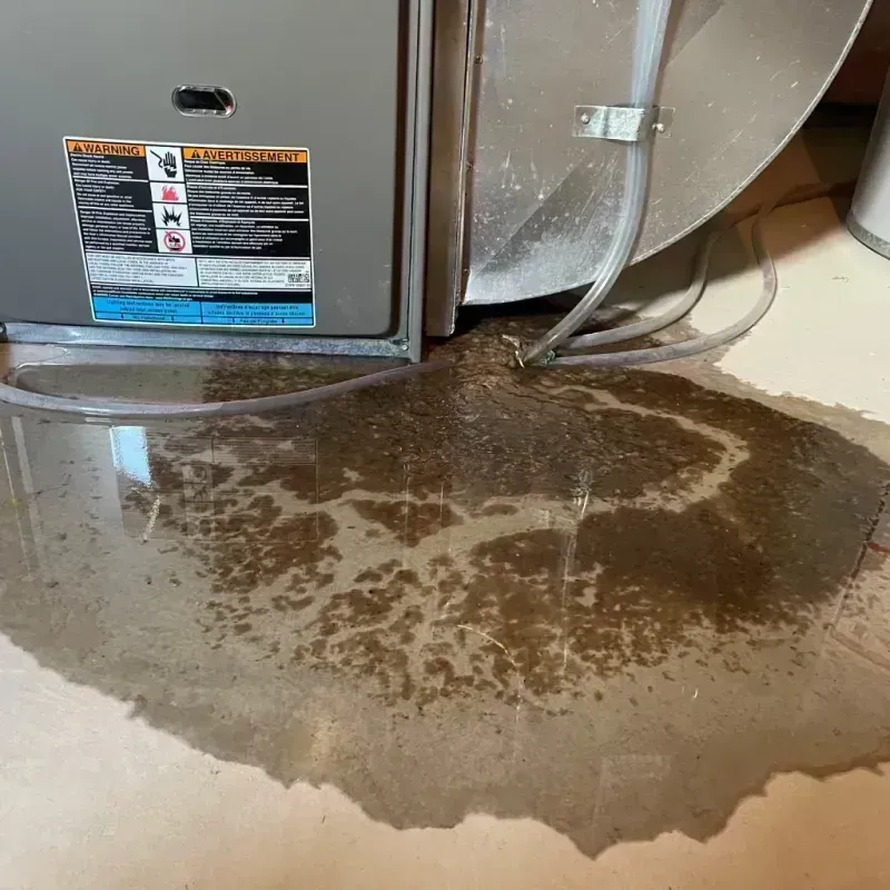 Appliance Leak Cleanup in Clever, MO